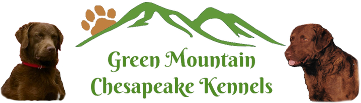 Green Mountain Chesapeake Kennels